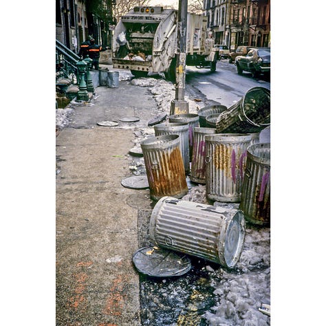 photographs of trash cans, plastic wrapped Christmas trees