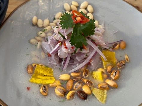 Ceviche in the northern style, green tamale, and a generous portion of Lomo Saltado meant for sharing