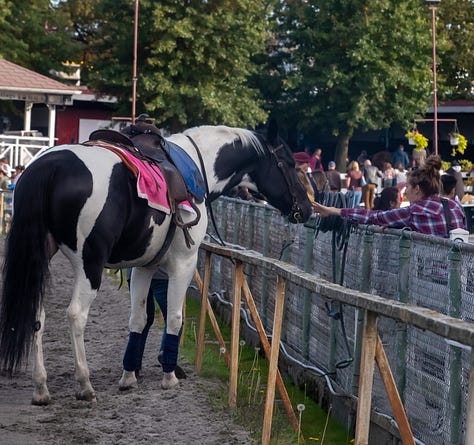 Racing Around — photos by Michael Bye, Nigel Reid, Patti Tubbs