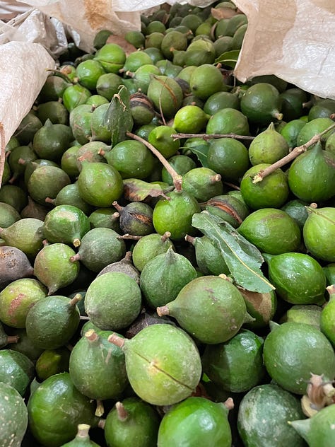 Images at different stages of the nut processing flow