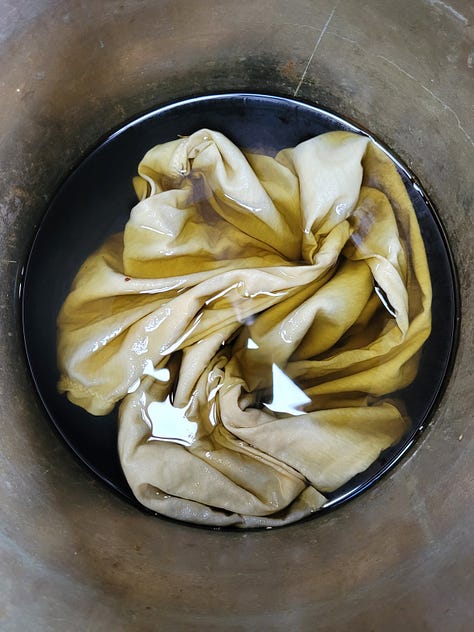 1. a t-shirt who did not receive dyestuff from sunflower seeds 2. same t-shirt mordanting in a copper pot 3. marigold flowers on the stovetop (I helped plant them and harvested them)