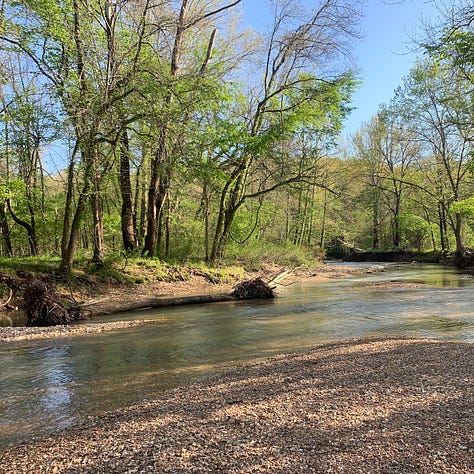 Three images show different views of creeks. The first image shows a shallow creekbed. The second shows large rocks and foliage. The final image shows a small child holding a lantern, wading through a creek at dusk.