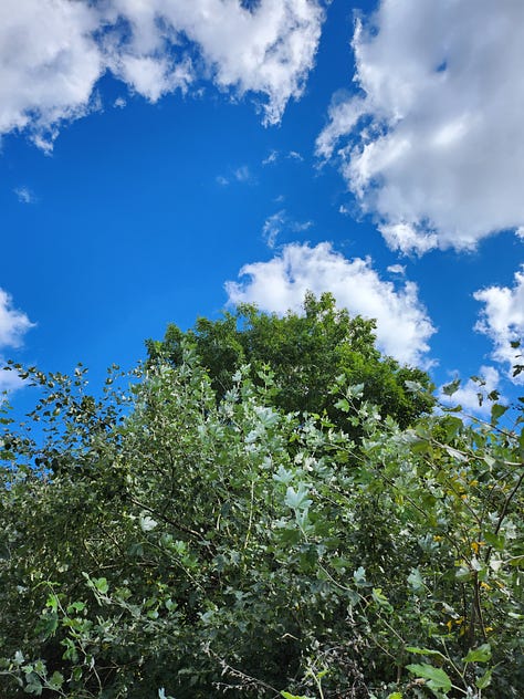 a 3x3 grid of various nature and sky pictures