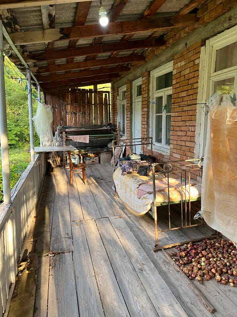 Dave's grandmother's house, its interior, a tkemali plum tree; hive in the garden, Nellie's porch, icons; mallow flowers, zinnias on the path to the outhouse, grapevine arbour