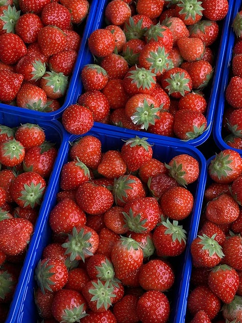 dishwear, strawberries and flowers