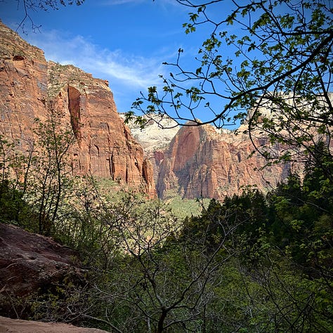 Hiking in Zion National Park.