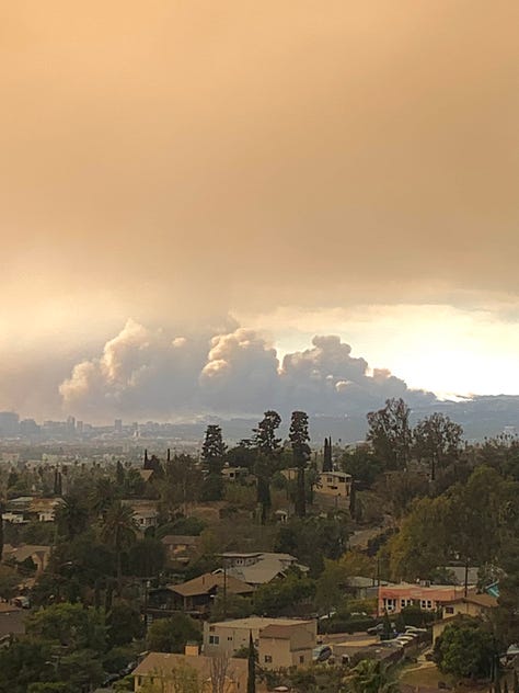 Los Angeles fires