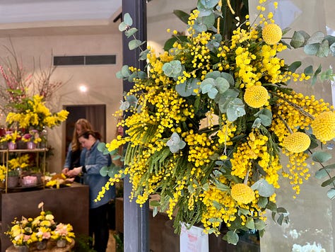 Top L-R: new elm and morning sun at Villa Olmo, sunbeam through west window, central Como blue sky, tarocco oranges in the wild, palm tree shadow show-off, mimosa flowers for women's day, tourist season starts with a shock and bang, more mimosa 🌼 more celebrating women, traghetto and sapphire waters 