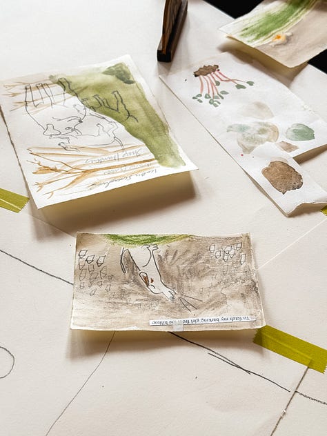 drawings geese, moth, skull, plants,