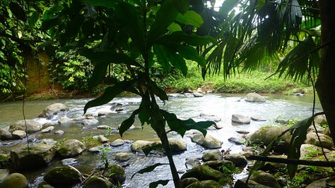 Ecuadorian rainforest with shamans