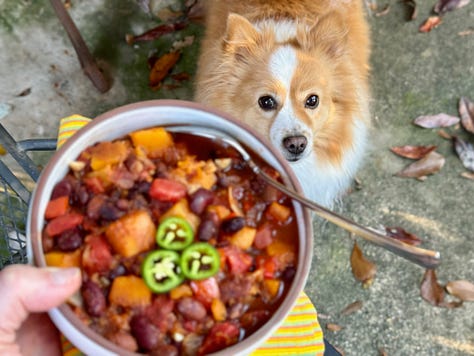 Butternut squash chili with hungry pomeranians