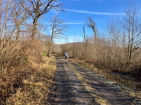 Wide path under blue skies, with sparse scrub to the side