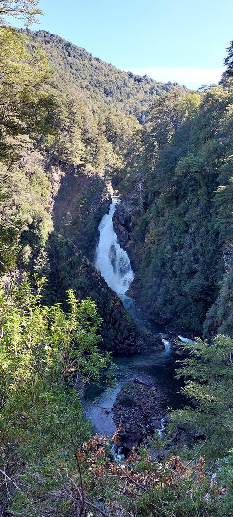 Paseos por el Lago Lacar, Lago Nonthue, Quila Quina Beach and Hua Hum Waterfall