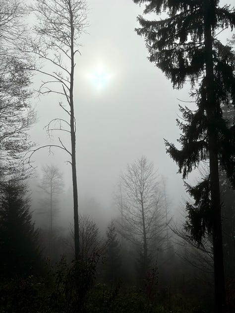 Various mountain photography in autumn