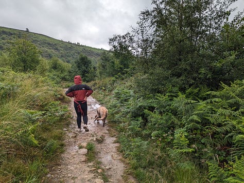 guided waterfall walk in the brecon beacons