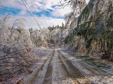 Ice damage in 2008