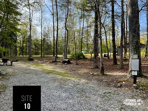 Morganton Point Campsites