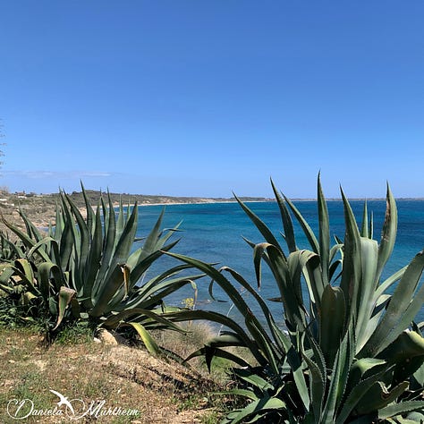 three images, two with ocean and one with flowers