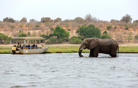 Photo from Egypt, Samoa, and Botswana