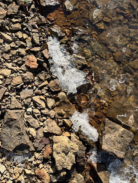 Ice and leaves on icy water