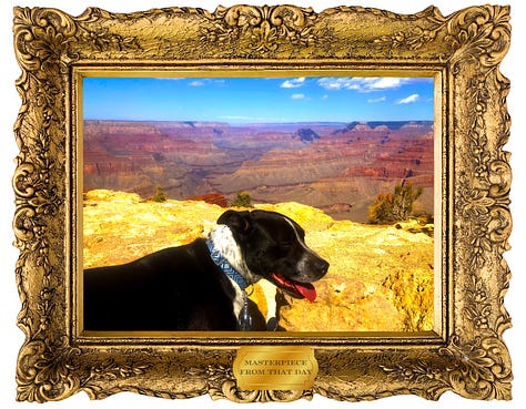 A handsome dog in some bad photos of the grand canyon