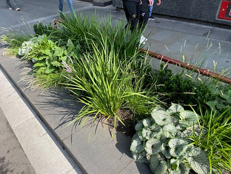 Pictures of the Strand Aldwych scheme. Many of the pictures are of pedestrian spaces, with extensive planting throughout and trees. People are walking in the street, and sitting at provided benches. There is one picture with someone on a bicycle, and another picture with my outside the disused Strand station