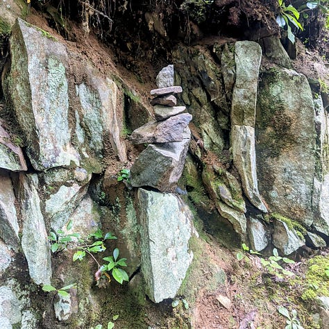 A collection of photos taken while completing the Cove Mountain Laurel Falls loop trail, with some photos featuring interesting sights (rocks, trees, and flora) indicated along the way.