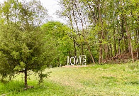 Photo of a paved walking trail surrounded by lush vegetation and a deer on one side, a round embroidery hoop with an image of a pineapple, a woman smiling and presenting the piles of fresh pasta she made from scratch, a selfie photo of woman and her dad painting a piece of furniture, a photo of a woman and her mom sitting on the floor painting a piece of furniture, a selfie photo of a woman and her parents sitting down at the dinner table to eat barbecue food, a photo of a woman and her dog looking out the window, a photo of a LOVE sign in a grassy, woody green forest, a selfie photo of a woman with her parents and dog behind her walking in the opposite direction.