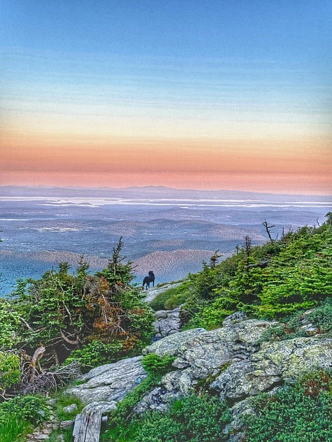 From the tops of Mt. Mansfield, Mt. Abraham and Camel's Hump.