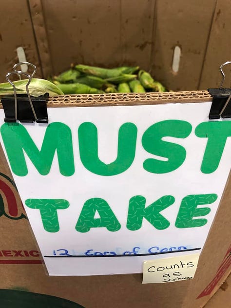 Wooden farm share basket on wooden bench (contains corn, green beans, cucumbers, onions, tomatoes, blueberries), second image of crate of corn with sign "Must Take 12 ears of corn", third image with author (white woman with clear rimmed glasses and long blond hair) sitting on a couch with a calico cat looking expectantly at her