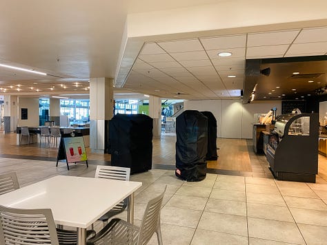 Photo of empty Starbucks in the Sacramento airport, March 22, 2020; photo of empty electric walkway in the Dallas-Fort Worth airport, March 22, 2020; mirror selfie photo of woman and her dog sitting on the bed with luggage and clothes strewn about on the floor.