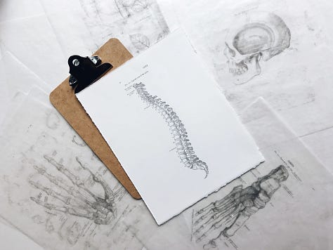 Leaf Stem, Spinal Drawing, Stack of Stones