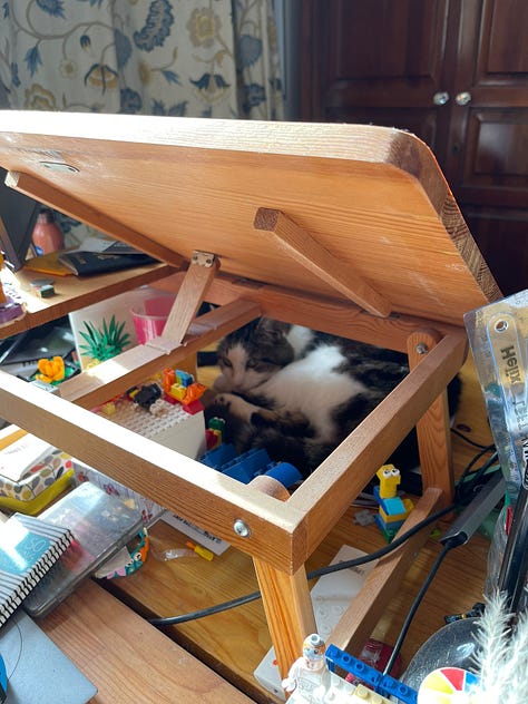 Pictures of Swirls, a tabby and white cat, sitting next to a LEGO typewriter as if about to write, sitting curled up on a keyboard, and asleep on a blanket