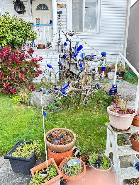 Photographs of houses with porches