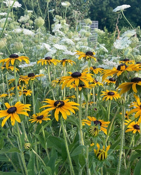 Sienna Mae Heath, The Sovereign Gardener - Food is Freedom