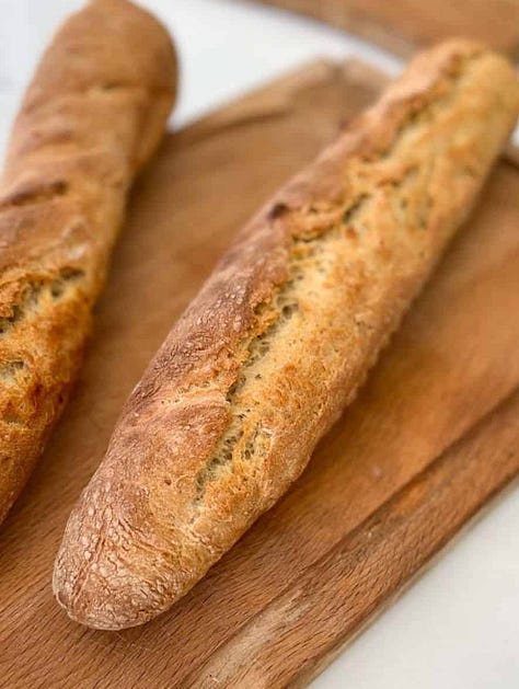 Endive Bechamel served with salad, a baguette and an Apple Galette