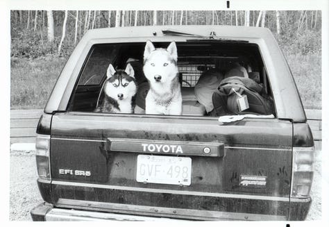 The author with dogs, goats and other scenery. Ex-husband not included. ;-)