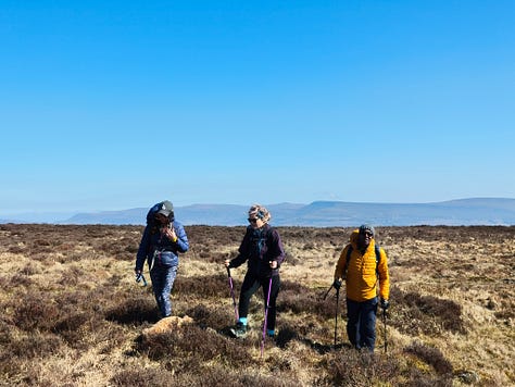 mountain scenery in Bannau Brychieniog Brecon Beacons on a sunny day