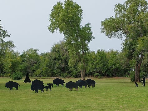 Outdoor sculpture park with metal sculptures of wolves, bears, famous indigenous Americans and a park bench. Flat metal sculptures of bison resemble a small herd across a prairie field.