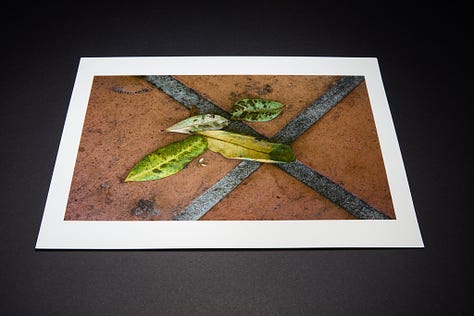 Sample photographic prints from a project