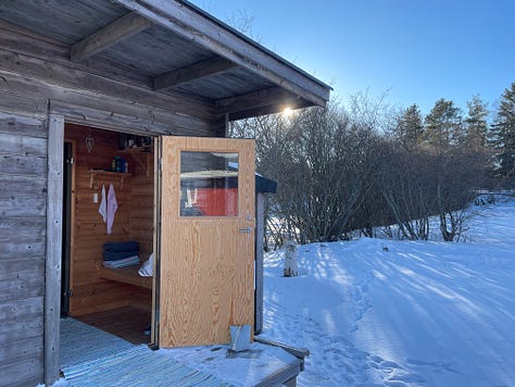 There are photos of a sauna near the frozen water surrounded by snow, the lilac and blue night sky and half moon, a golden sunset over snowy landscape, fluffy Luna dog in the snow, an urn on a table with rises and other flowers in the church 