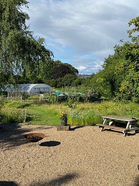 Nine images showing the outside seating area of The Small Holding with images of crops growing in the vegetable garden