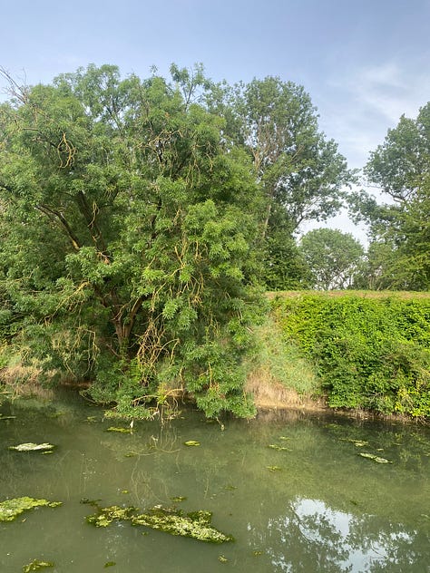 Foto della gronda lagunare del Forte e foto di gruppo
