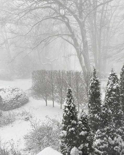 The Cottage Garden has a yew arch on the east end, a pergola walk on the south side, and a hornbeam boxed hedge on the western border. Here it is all shrouded in heavy snow fall last week.