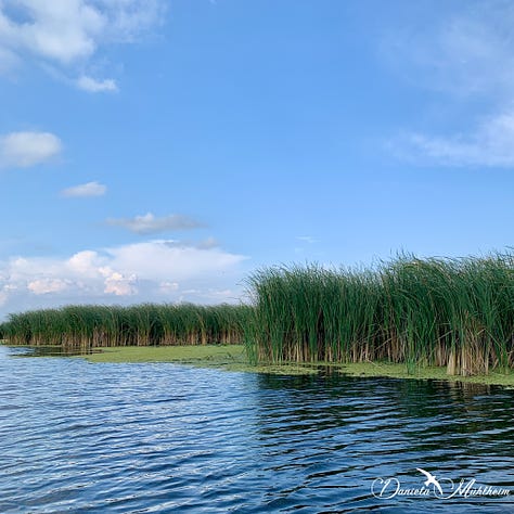 three different waterscapes in the Danube delta