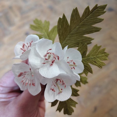 Two images of hawthorn made out of paper, with creamy white petals, pink stamen and a green style, and natural green leaves, all colours achieved using natural dye using madder and red onion skin. One image of a page from the Rebel Martin Concise Flora, showing an illustration of hawthorn in bloom