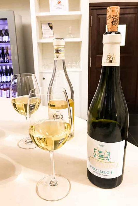 white wines at Sella & Mosca