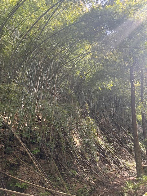 Mountain scenes near Amanohashidate