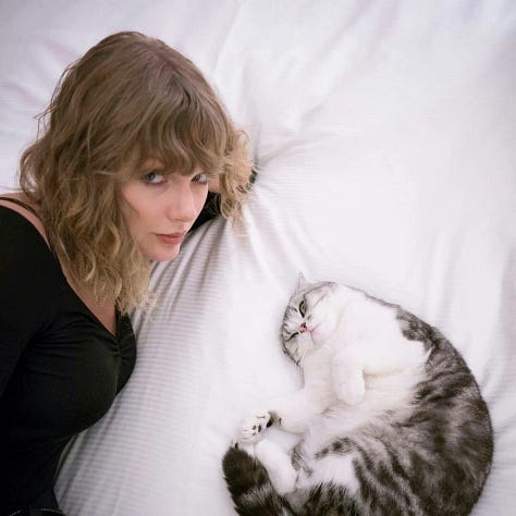 Taylor Swift on a bed with her tabby cat, a white cat with one of its back paws in the air as if in a yoga post, Taylor Swift lying next to a white kitten with racoon eyes