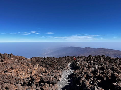 nature scenes on the island of Tenerife